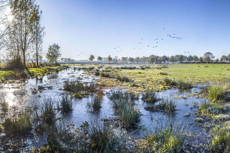 Onthaasten tussen velden en meersen