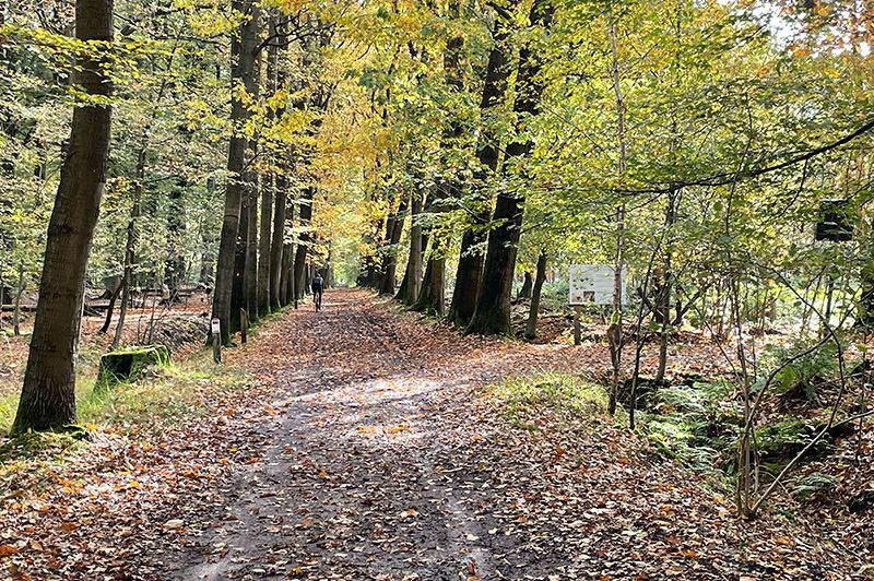 Cuesta fietsroute