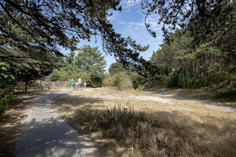 Duinbossenwandelroute