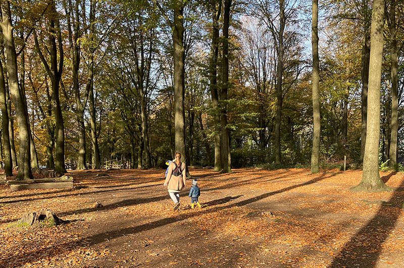 Wandelen in Vlaanderen