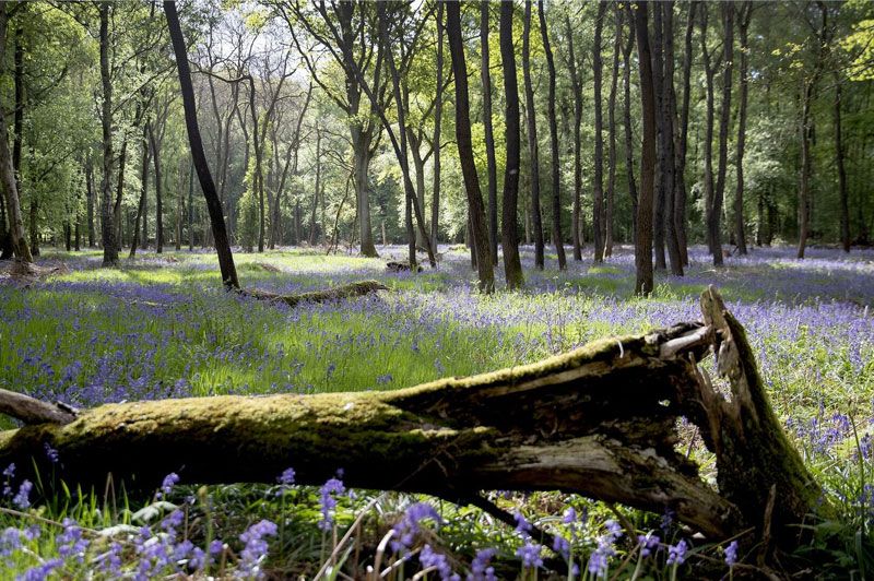 Kravaalbos Wandelroute
