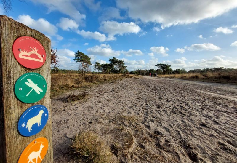 Kalmthoutse Heide
