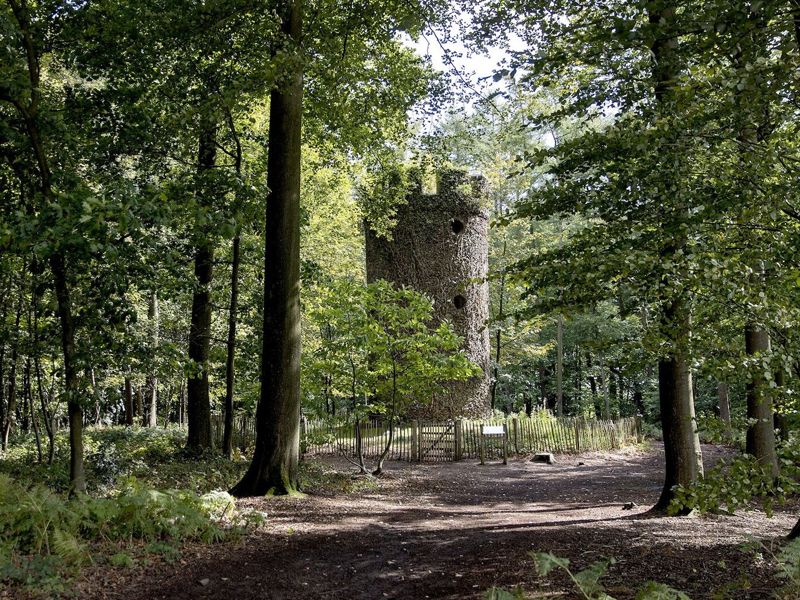Treinstapper Ronse-Lierde