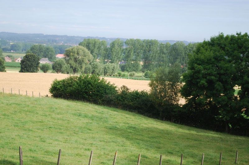 Tussen Helix En Bosberg Wandelroute