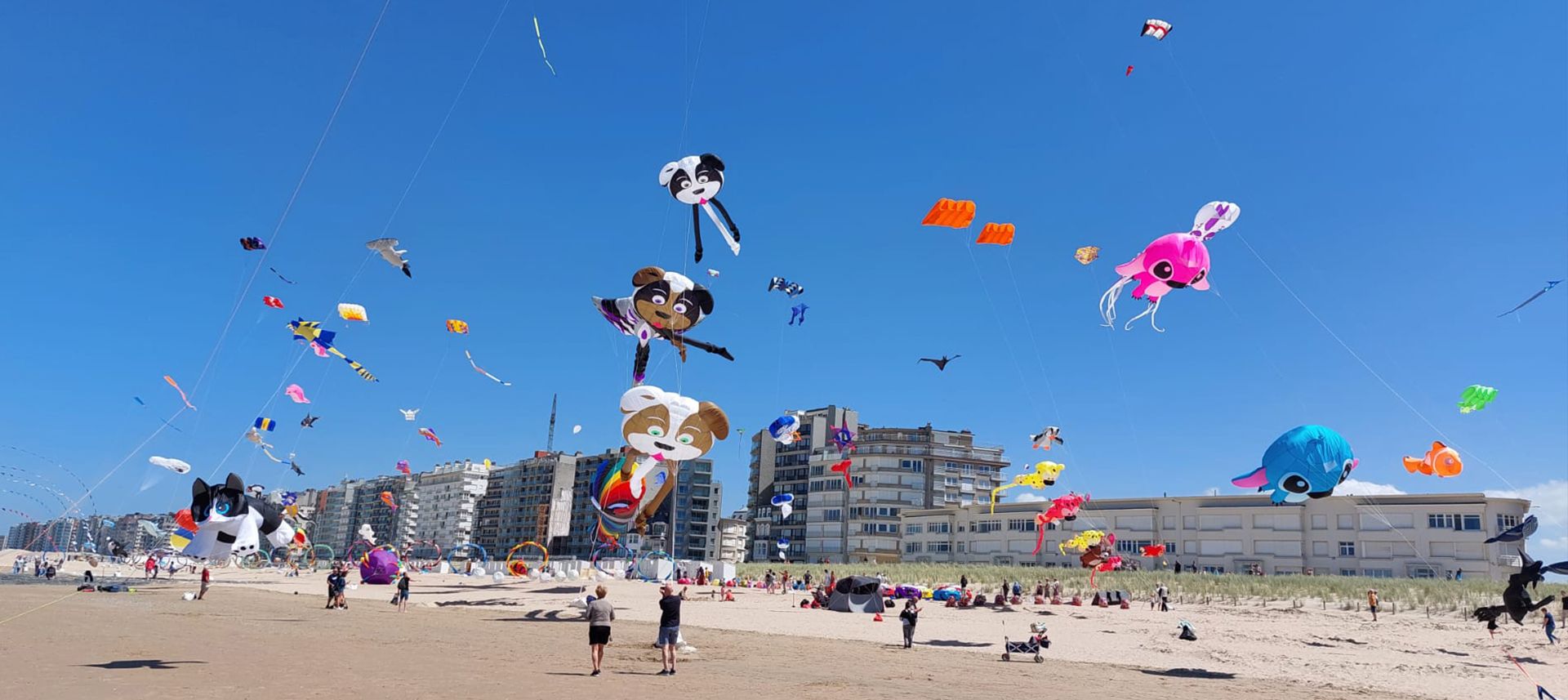 Vliegers op strand