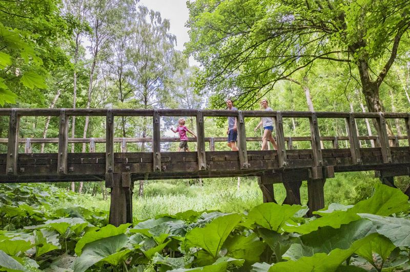 Wandelen in de Palingbeek